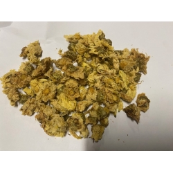 Kwiat Chryzantemy Słonecznej 1 Kg